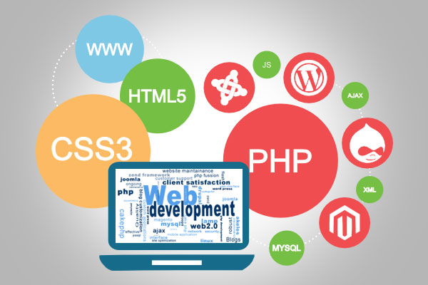Web Development in Chennai