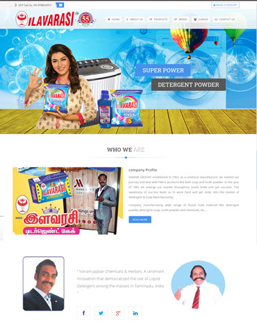 Web development company in Chennai