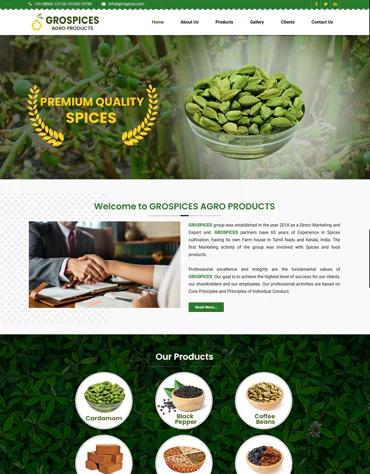 TOP SEO INSTITUTE